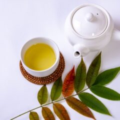 ホームページを公開しました。